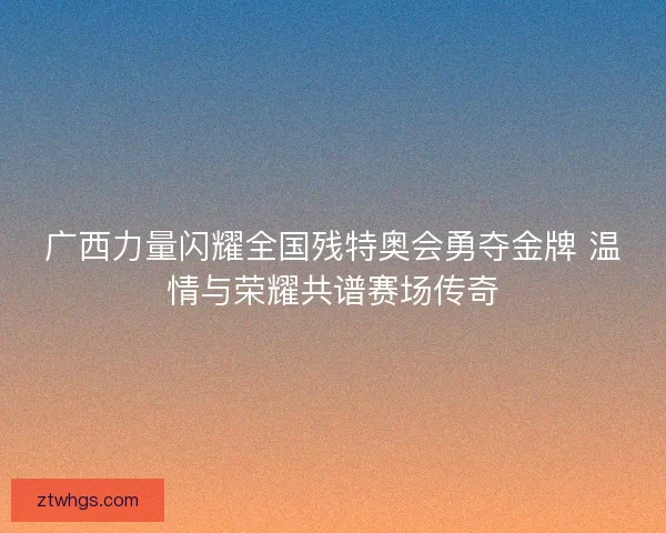 广西力量闪耀全国残特奥会勇夺金牌 温情与荣耀共谱赛场传奇