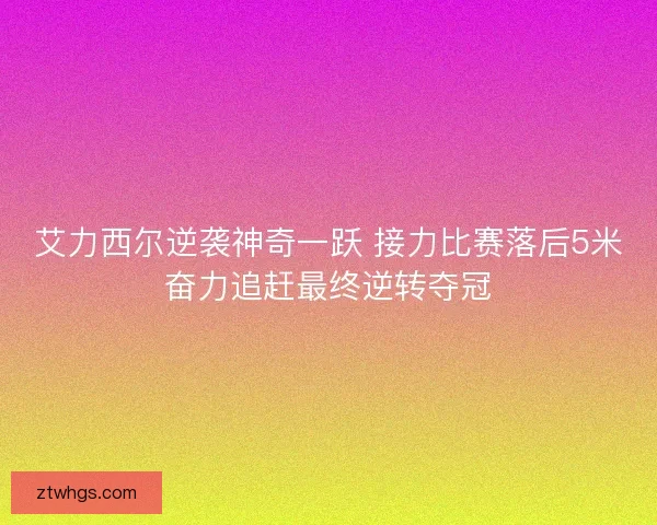 艾力西尔逆袭神奇一跃 接力比赛落后5米奋力追赶最终逆转夺冠